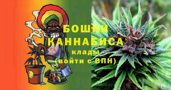 молекула духа Иннополис